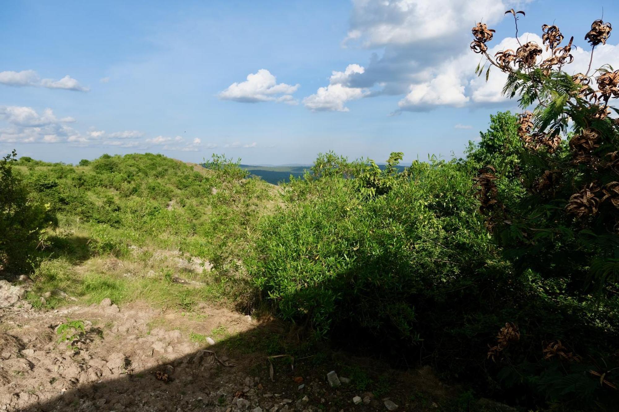 Hyena Hill Lodge Sanga Kültér fotó